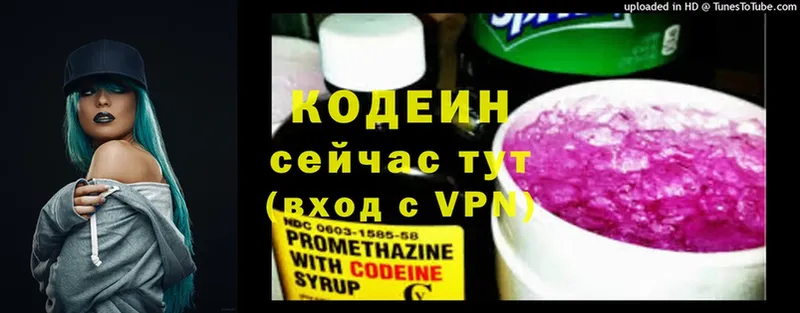 Кодеин Purple Drank  ОМГ ОМГ маркетплейс  Кировград  купить наркотики цена 